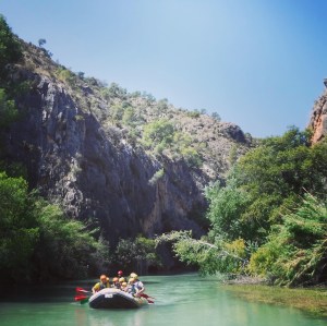 87836116-E624-45DB-92DA-34BEF94280B2 (002)